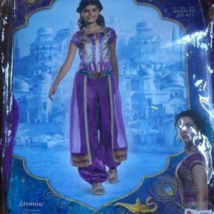 Disney princess Jasmine costume